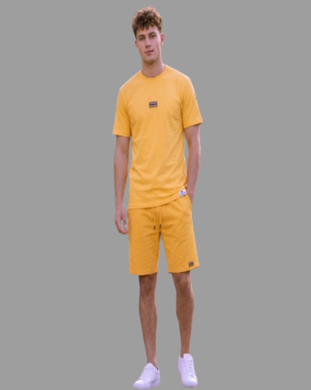 Gemini_Generated_Image_hqtn61hqtn61hqtn__1_-removebg-preview (1)